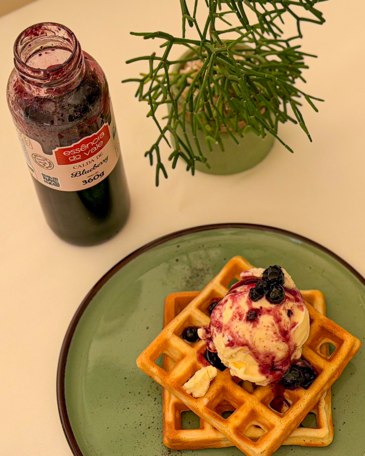 Calda Natural de Blueberry Essência do Vale 360g - Imagem 2