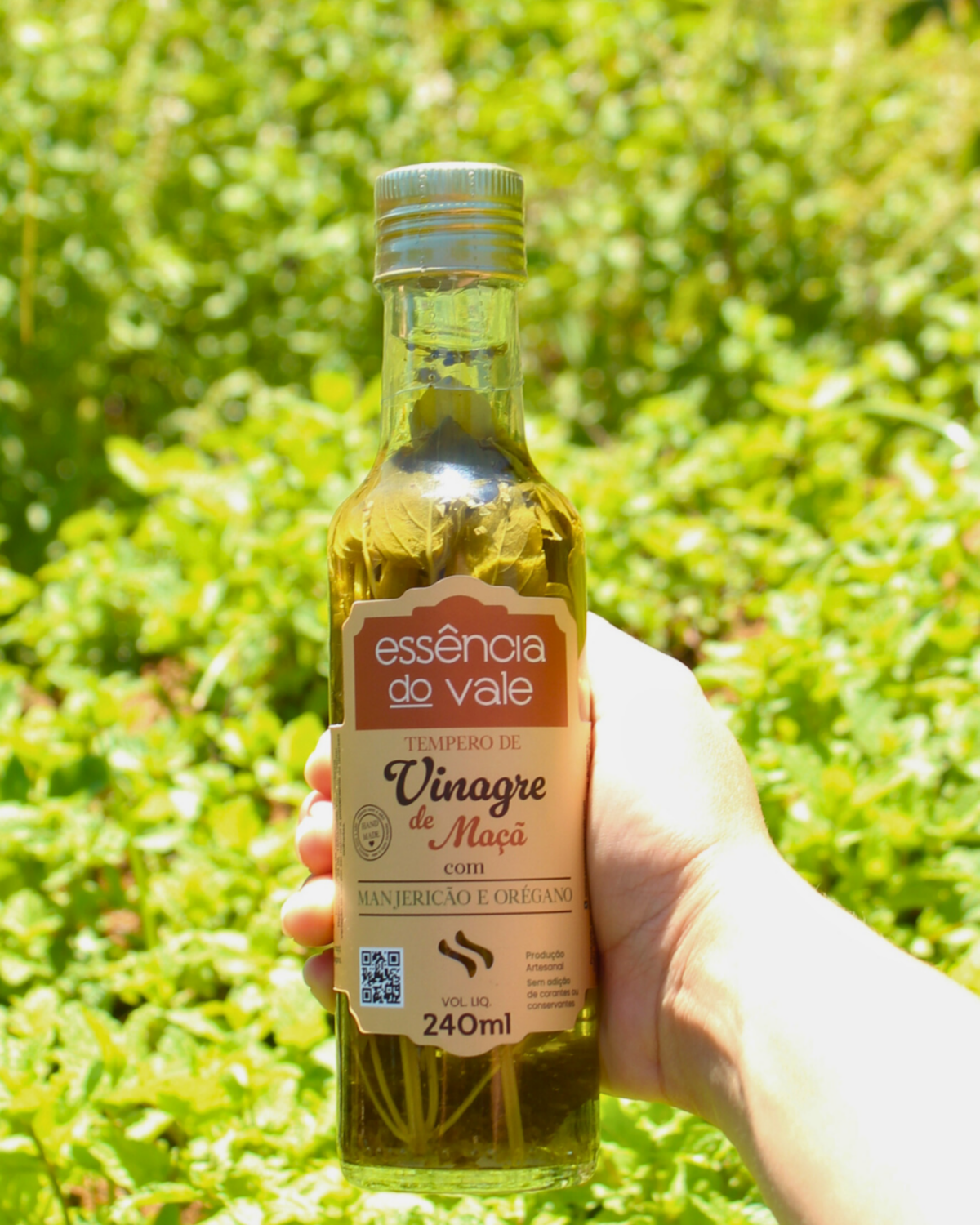 Vinagre Aromatizado com Manjericão e Orégano 240ml - Imagem 2
