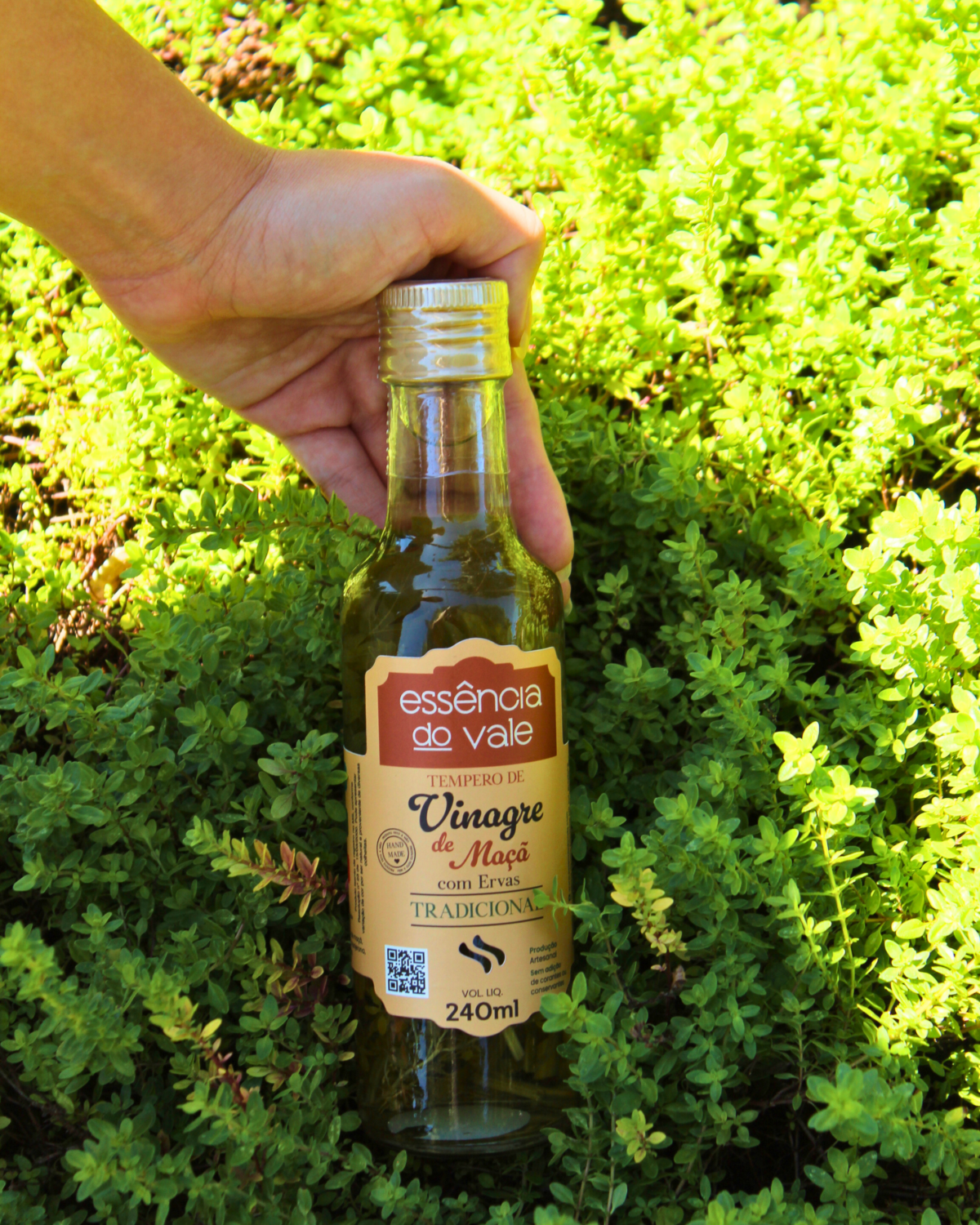 Vinagre Aromatizado com Ervas Tradicional 240ml - Imagem 2