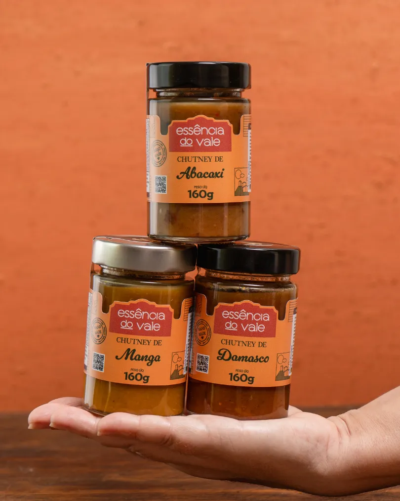 Chutney de Damasco Essência do Vale 160g - Imagem 3